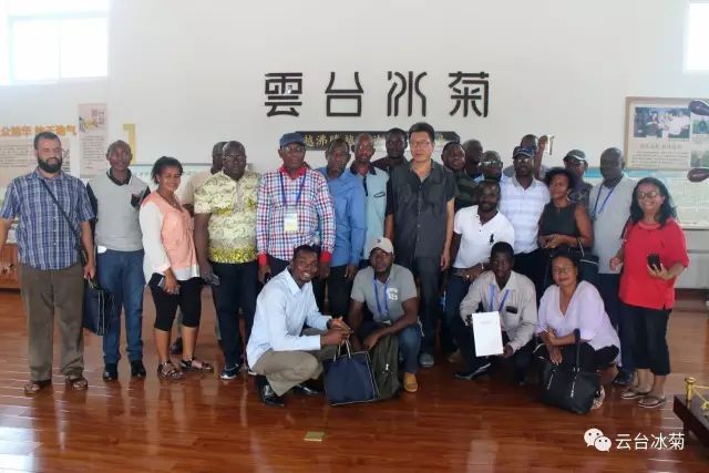 目測(cè)這朵菊花要火，國(guó)外專家為它頻頻而來(lái)······