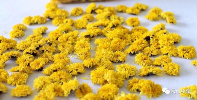 2018，種下希望，靜待花開！